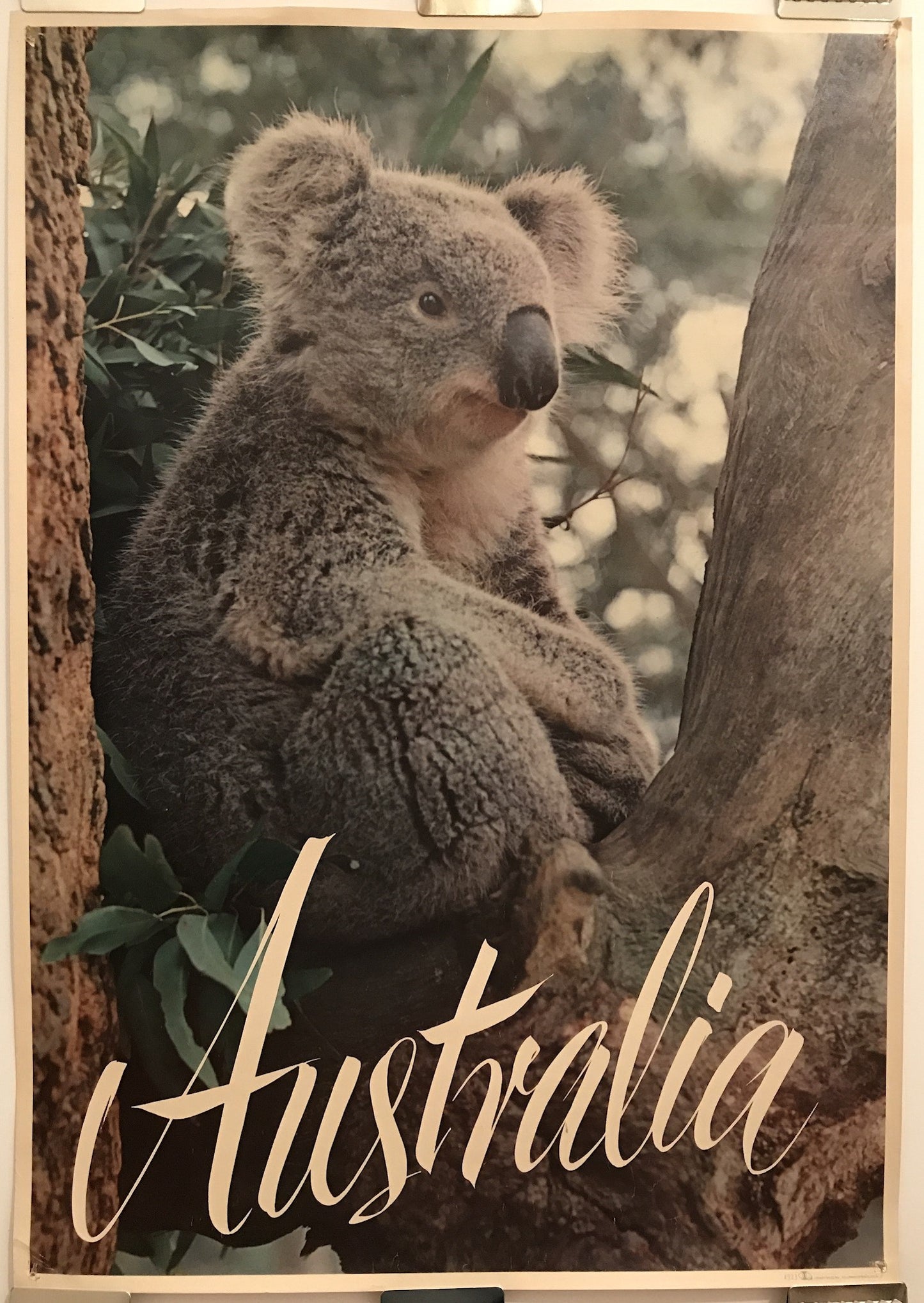 Australia, vintage travel lithographic poster, c.1970