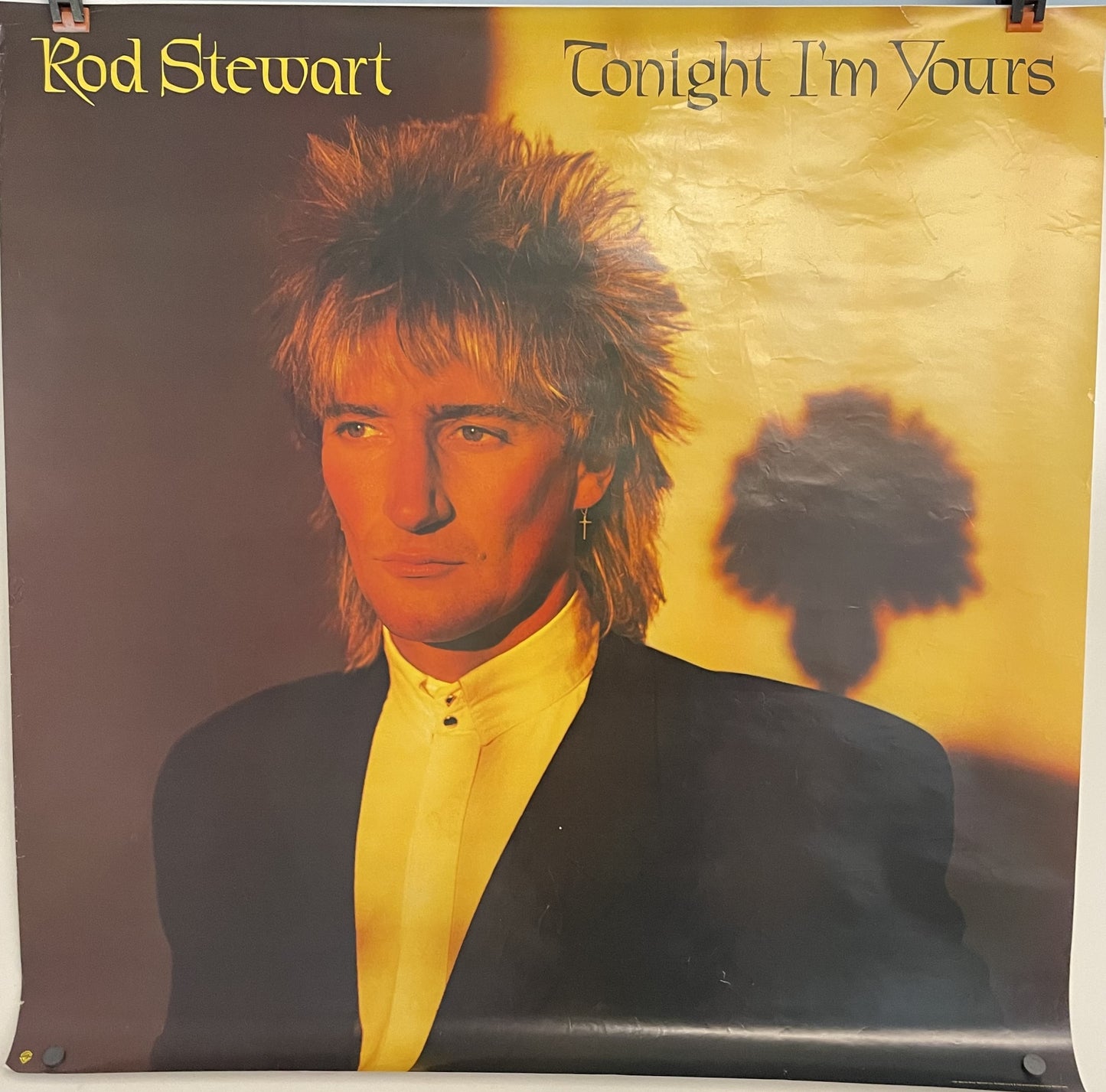 Rod Stewart - Tonight I'm Yours, vintage Promotional Music Poster, 1981