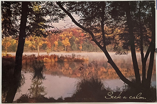 Seek a Calm (#2229), vintage ARGUS poster, 1976