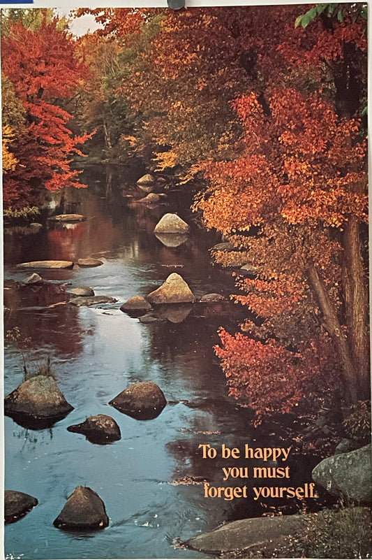 To Be Happy You Must Forget Yourself (#2230), vintage ARGUS poster, 1976