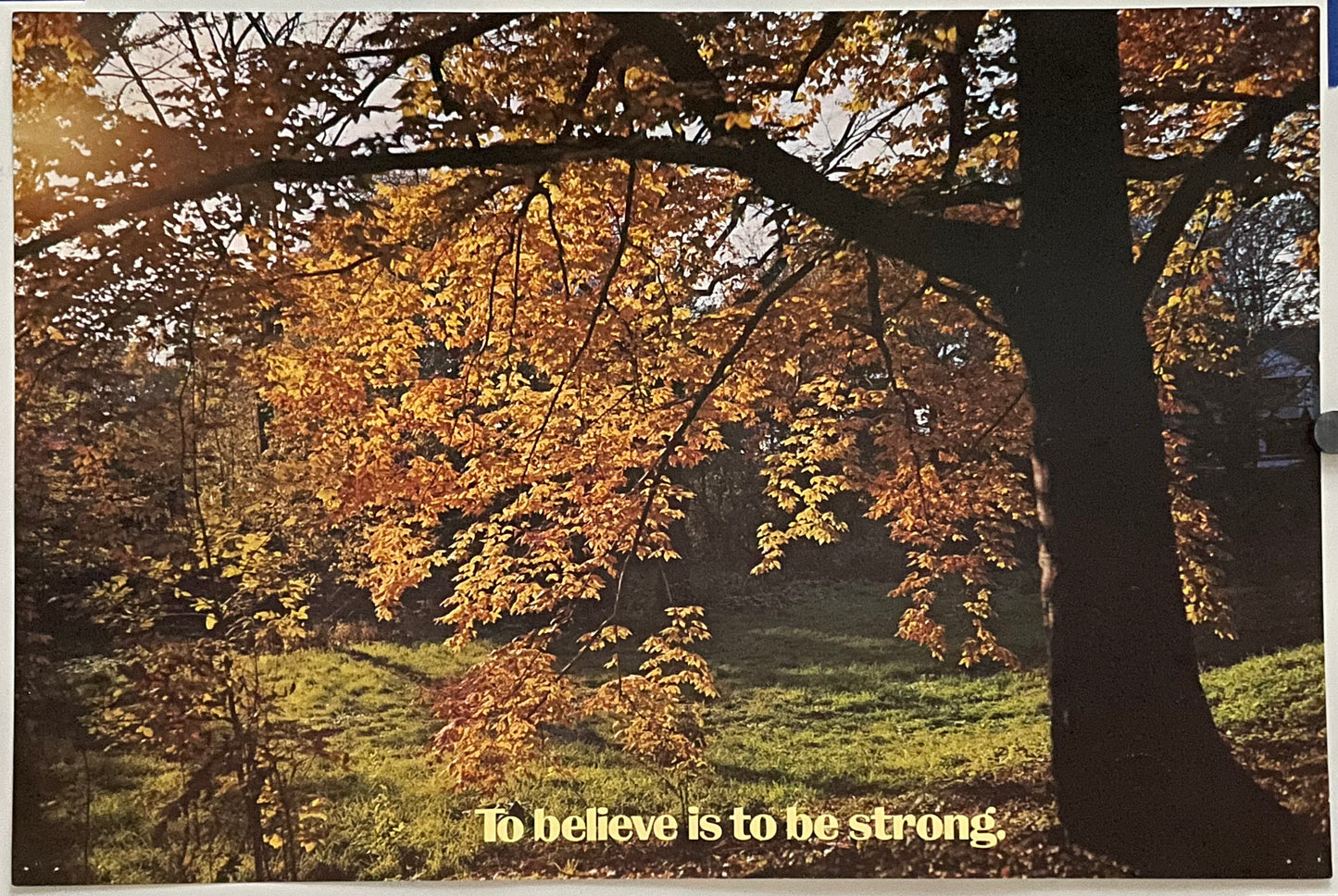 To Believe Is to Be Strong.. (#758), vintage ARGUS Communications poster