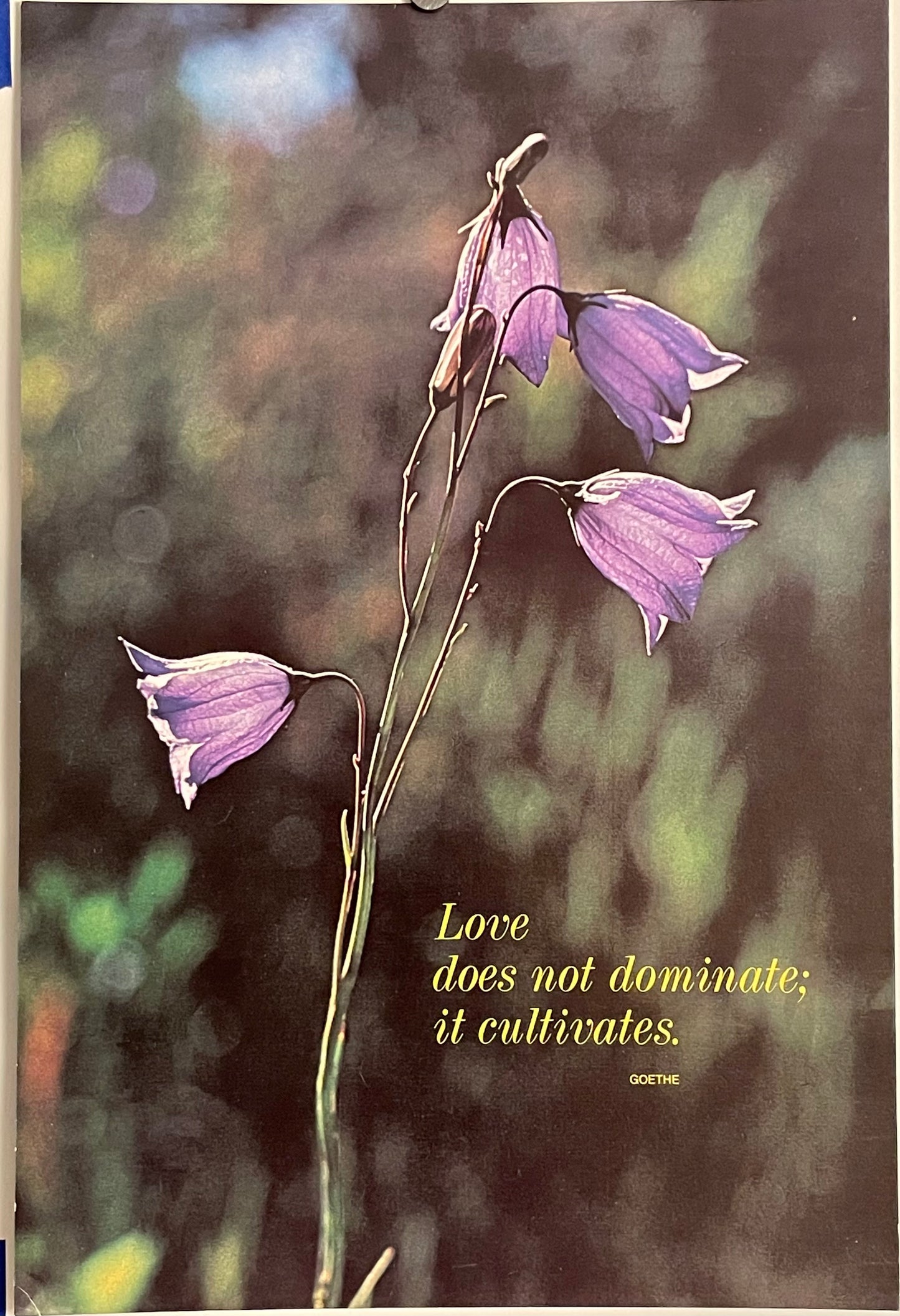 Love Does Not Dominate; It Cultivates (#637), vintage ARGUS poster