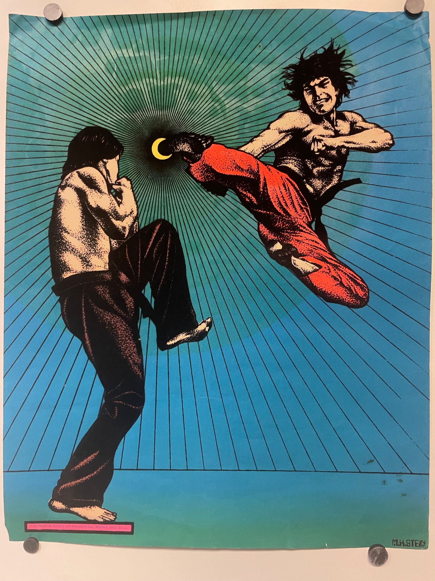 17-955 Martial Arts (flocked), vintage black light poster, 1977